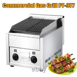 21 inch Radiant Char Broiler Grill 2 Burner Gas & Propane Commercial Restaurant
