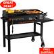Blackstone Duo 17 Propane Griddle And Charcoal Grill Combo Family Patio Outdoor