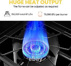 Double Burner Stove 150000 BTU Heavy Duty Outdoor Dual Propane Windscreen Detach